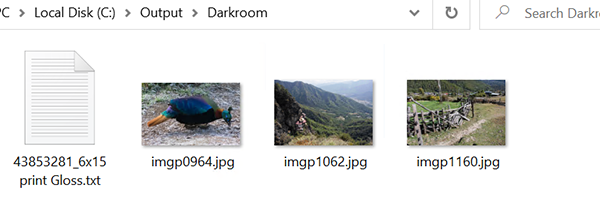 Darkroom Pro